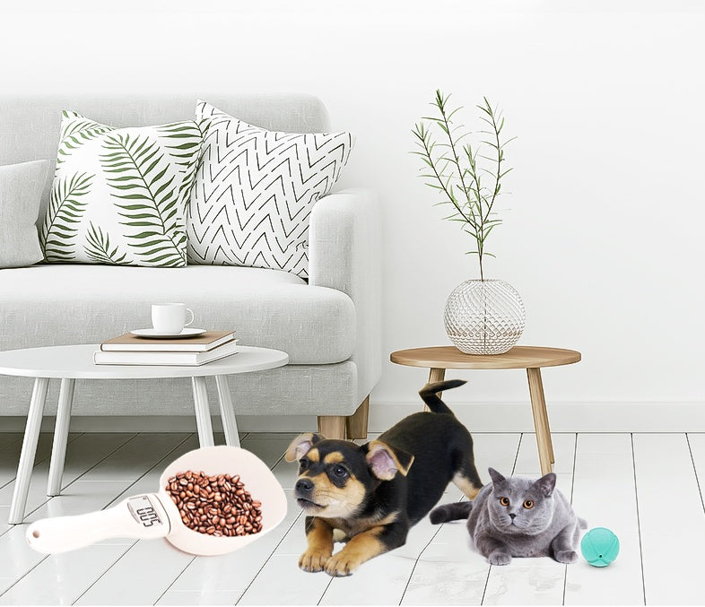 Cuillère Balance Électronique Animaux